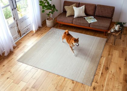 ペット向けラグ マール2 消臭 防ダニ すべり止め 床暖房対応 190×190cm